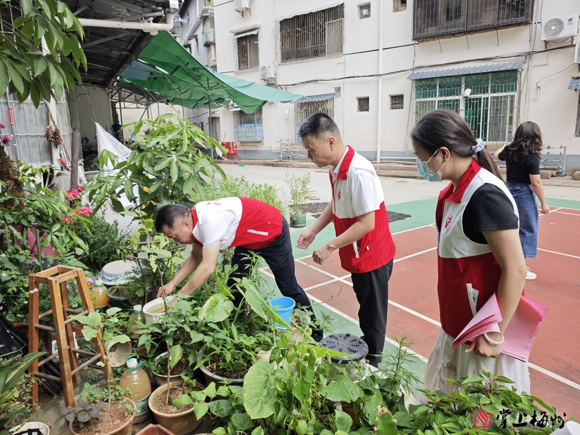 梅州：筑牢基孔肯雅热防控屏障，“红梅先锋”在行动！